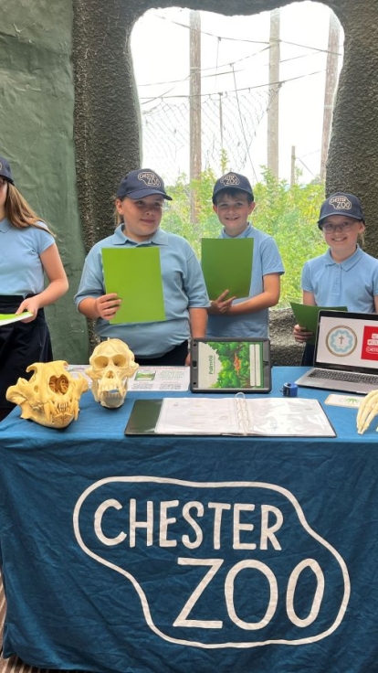 Six children in Chester Zoo caps stand behind a display table with educational items and a laptop, in front of greenery and an enclosure window.
