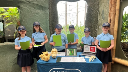 Six children in Chester Zoo caps stand behind a display table with educational items and a laptop, in front of greenery and an enclosure window.