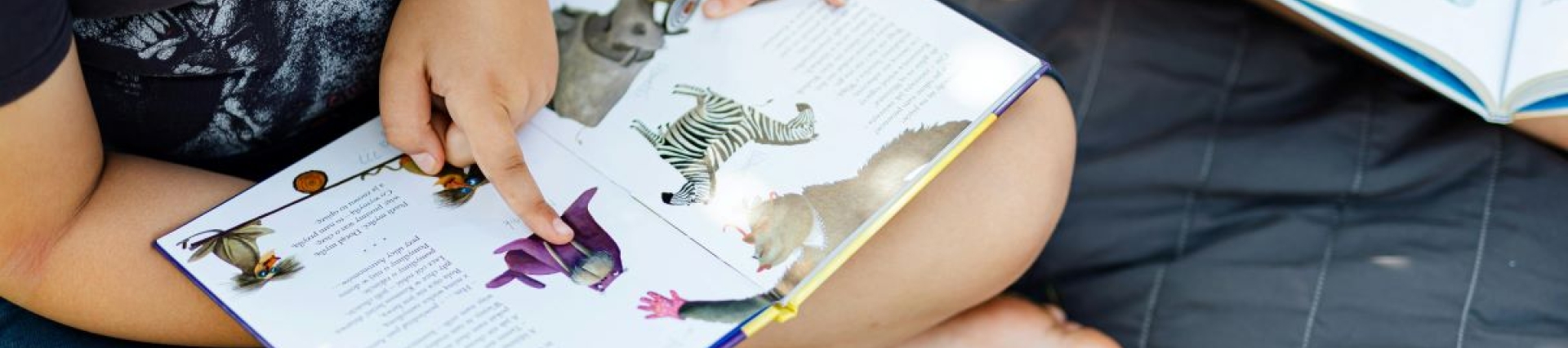 Two children sitting on a gray blanket outdoors, each reading a picture book with colorful animal illustrations. One child wears a dark shirt, the other a yellow outfit, and both are pointing at images in their books