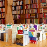 Rows of books lined up on the floor 